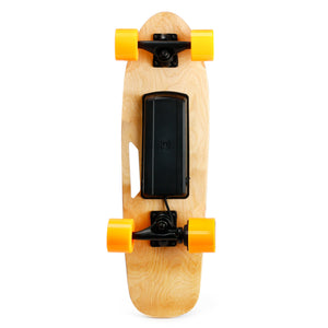 Small Electric Skateboard with Remote Control