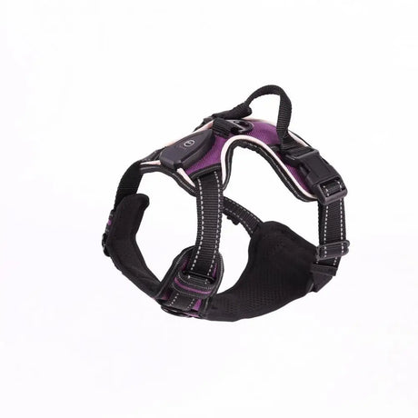 Rechargeable LED luminous pet harness for night walks, adjustable and comfortable for enhanced dog safety at BoltBuy.com