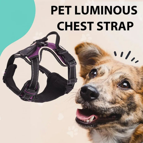 Rechargeable LED luminous pet harness for night walks, adjustable and comfortable for enhanced dog safety at BoltBuy.com