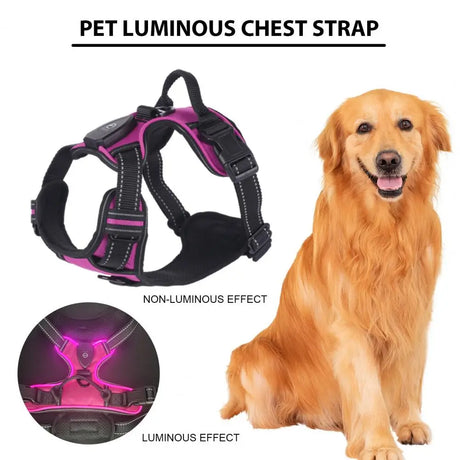 Rechargeable LED luminous pet harness for night walks, adjustable and comfortable for enhanced dog safety at BoltBuy.com