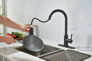 Single Handle High Arc Brushed Nickel Pull Out Kitchen Faucet Matte Black