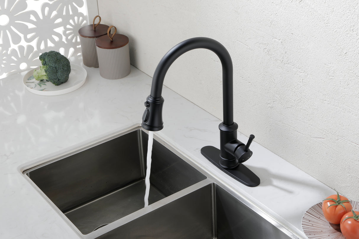 Single Handle High Arc Brushed Nickel Pull Out Kitchen Faucet Matte Black