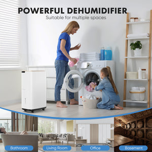 Dehumidifier for Basement with Drain Hose