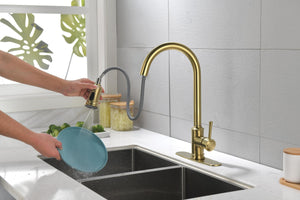 Single Handle High Arc Pull Out Kitchen Faucet Brushed Gold