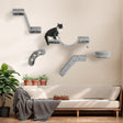 Wall-mounted modular cat furniture set featuring a hammock, platforms, and scratchers, designed to enhance vertical play and relaxation for your cat, blending seamlessly with modern home decor – available at BoltBuy.com.