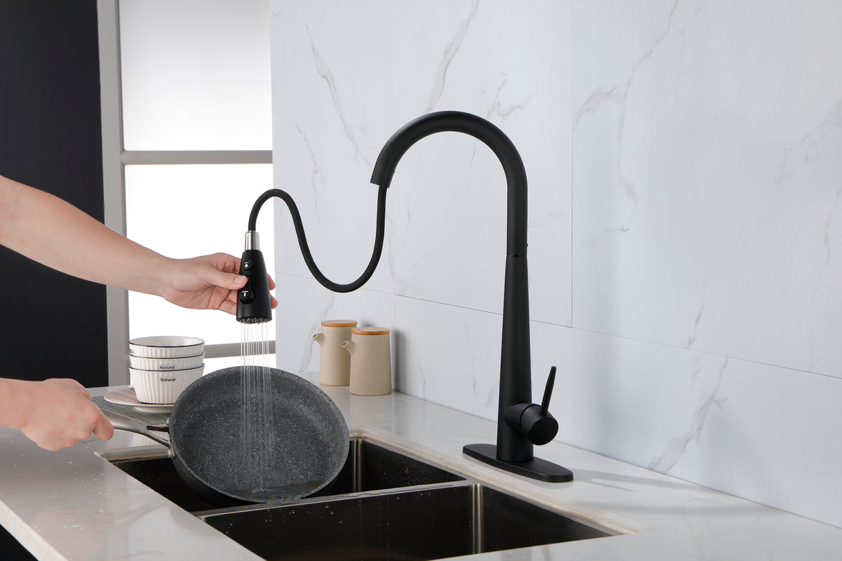 Matte Black Kitchen Faucets with Pull Down Sprayer