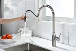 Pull-Down Single Handle Kitchen Faucet in Brushed Nickel