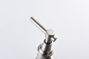 Bridge Kitchen Faucet with Pull-Down Sprayhead in Spot