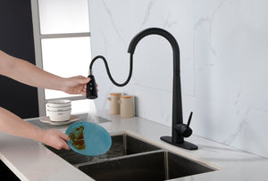 Matte Black Kitchen Faucets with Pull Down Sprayer