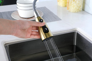 Gold Kitchen Faucets with Pull Down Sprayer