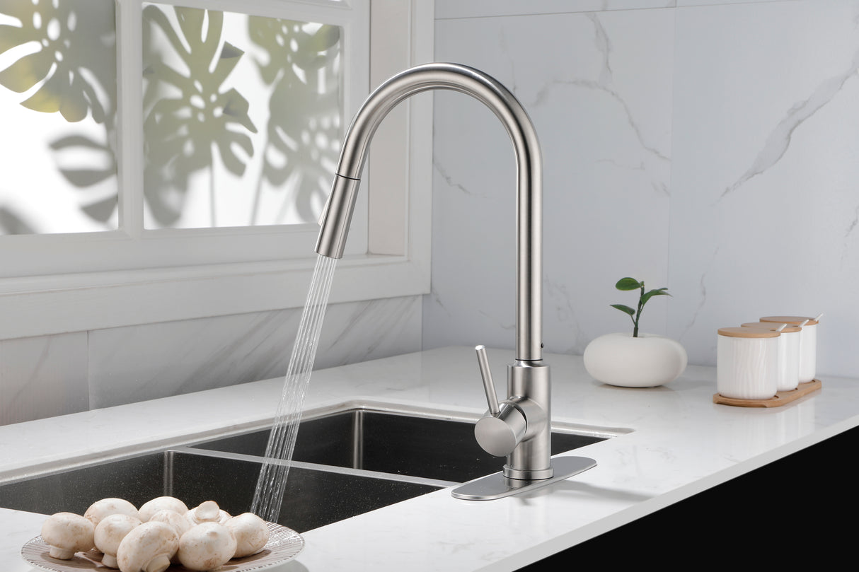 Kitchen Faucet with Pull Down Sprayer