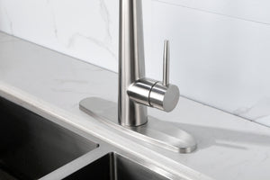 Kitchen Faucet with Pull Down Sprayer Brushed Nickel