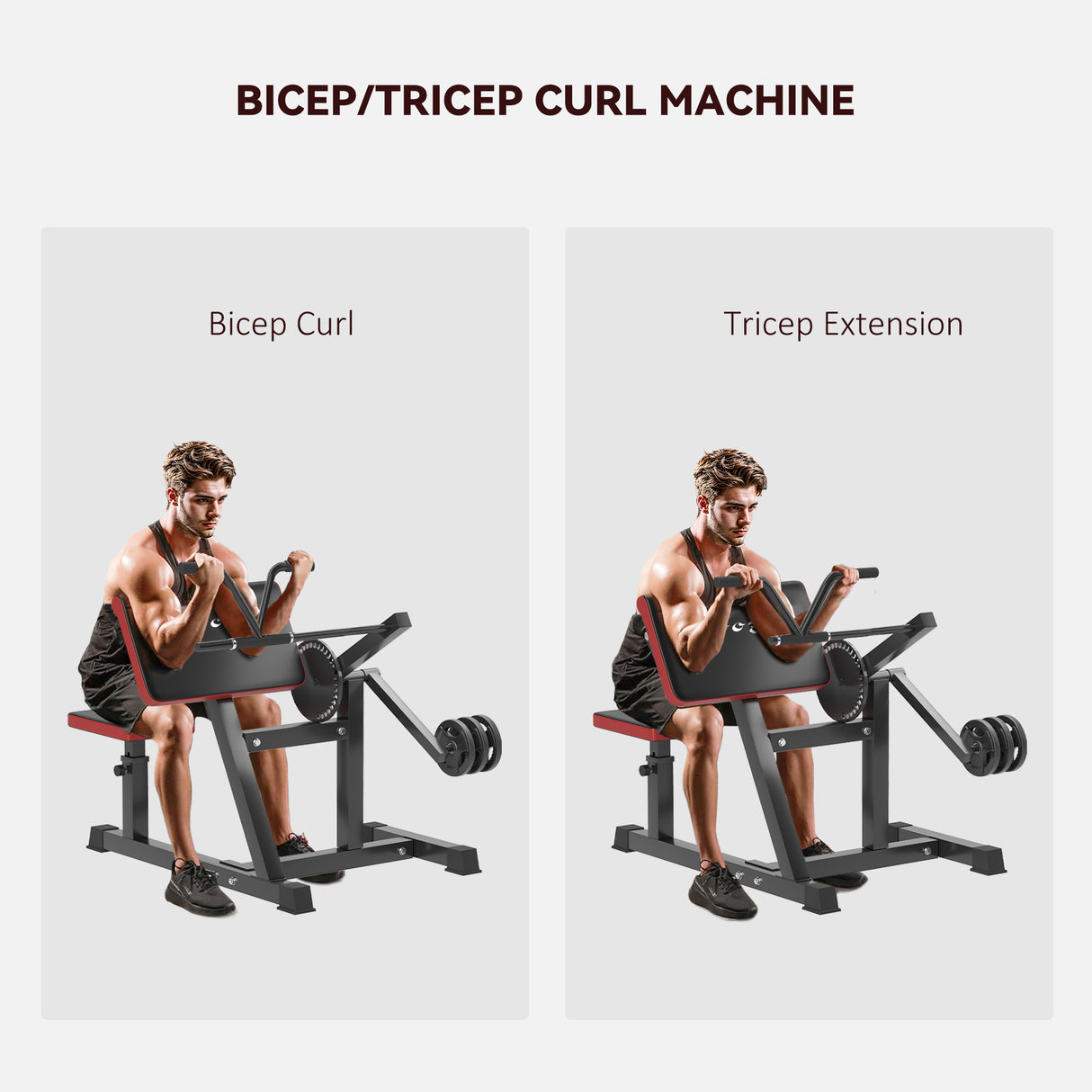 2-in-1 Bicep Curl & Tricep Extension Bench for Home Gym