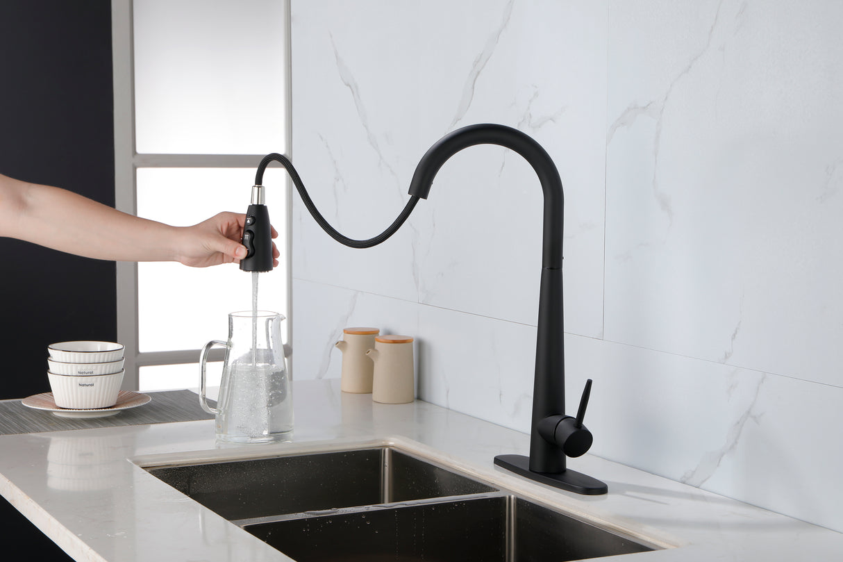 Matte Black Kitchen Faucets with Pull Down Sprayer