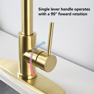 Stainless Steel Pull Down Kitchen Faucet with Sprayer Brushed Gold