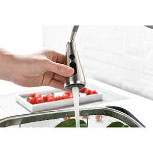 Single Handle Kitchen Sink Faucet with Pull Out Sprayer