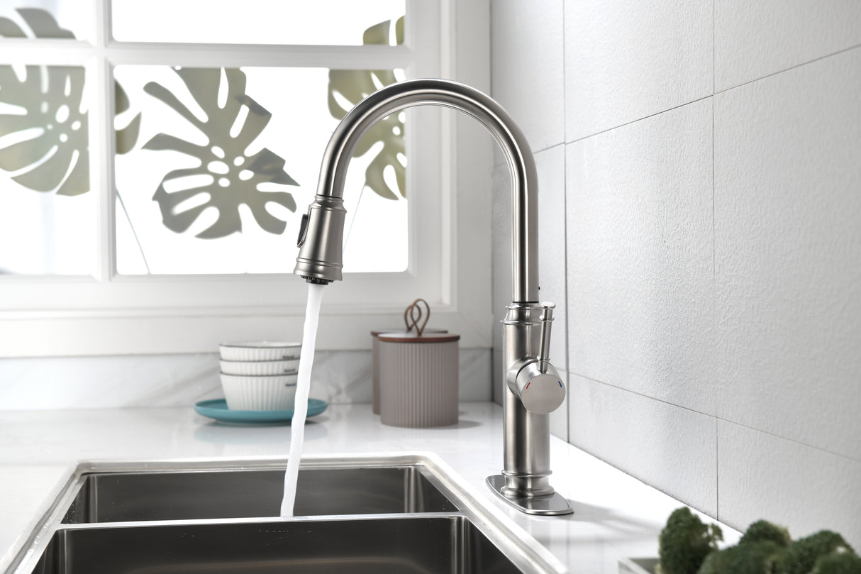 Single Handle High Arc Pull Out Kitchen Faucet