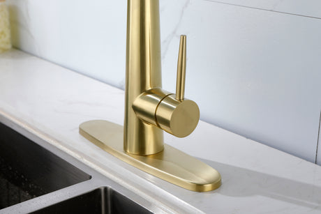 Gold Kitchen Faucets with Pull Down Sprayer