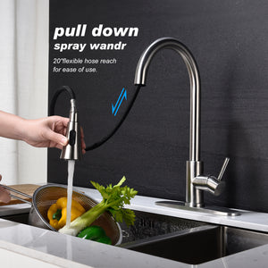 Kitchen Faucet with Pull Out Sprayer-Brushed Nickel