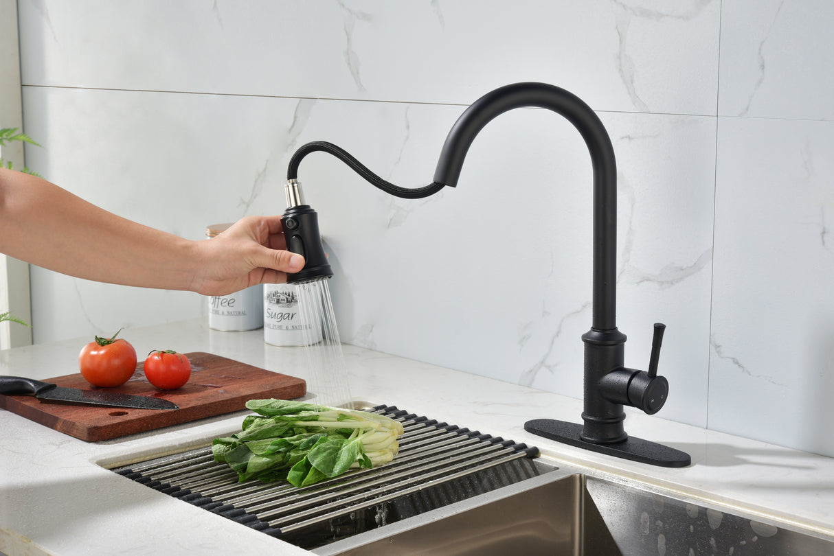 Single Handle High Arc Brushed Nickel Pull Out Kitchen Faucet Matte Black