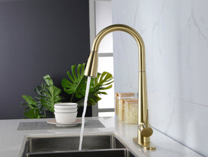 Gold Kitchen Faucets with Pull Down Sprayer