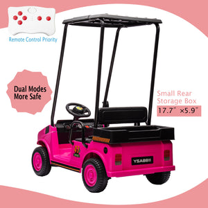 Pink 12V Ride On Toy for Kids Ages 3+