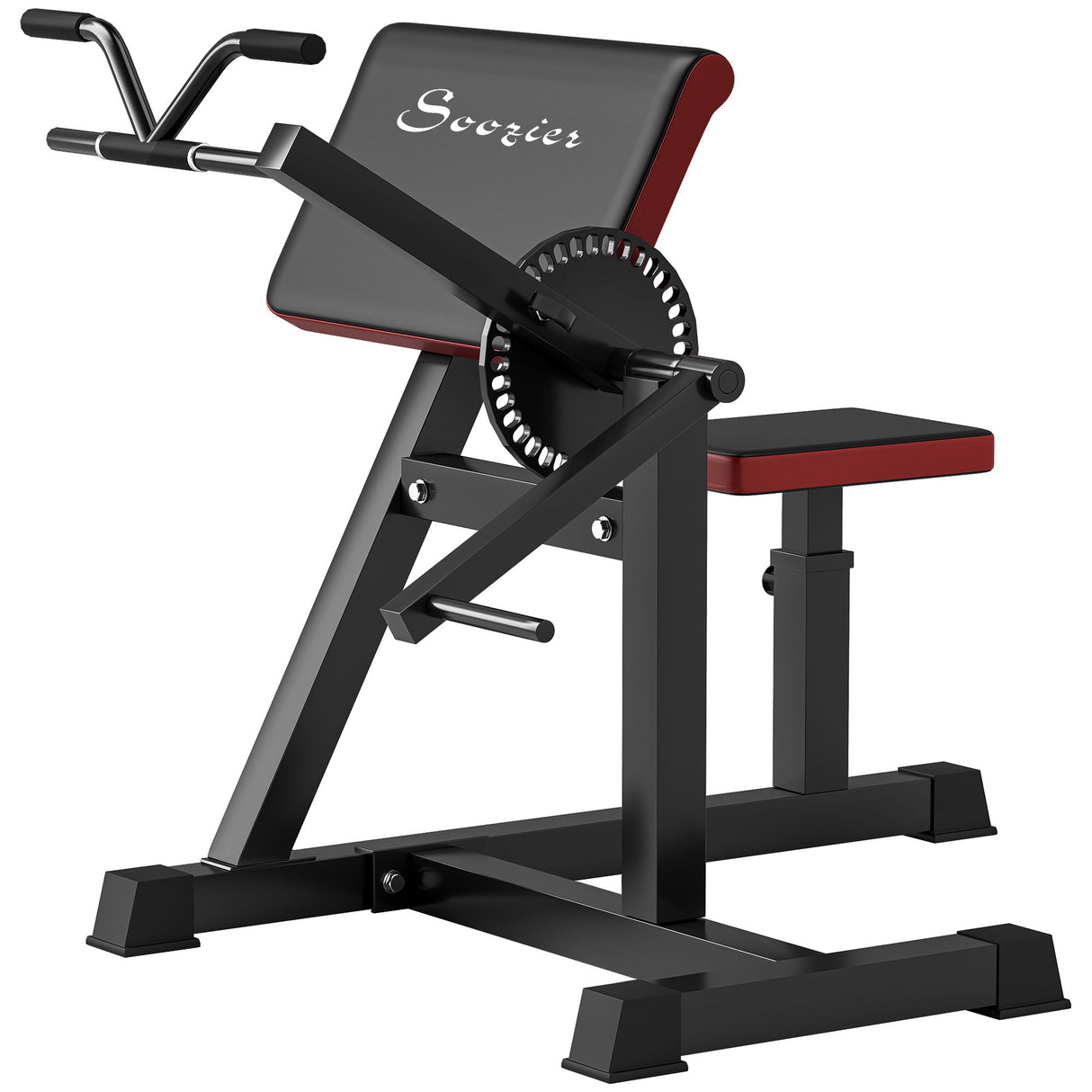 2-in-1 Bicep Curl & Tricep Extension Bench for Home Gym