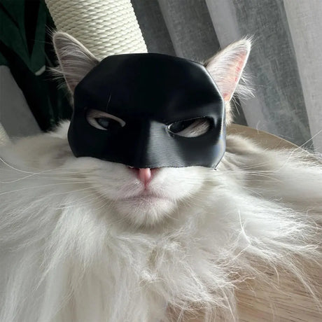 Bat Cat Avenger Mask for cats, perfect superhero-themed Halloween pet accessory, lightweight PLA mask designed for comfortable fit, available at Boltbuy.com