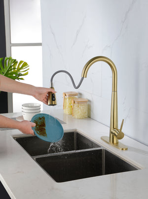 Gold Kitchen Faucets with Pull Down Sprayer