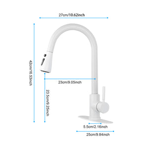 Kitchen Faucet with Pull Out Spraye