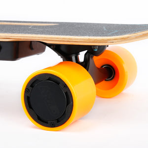 Small Electric Skateboard with Remote Control