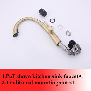 Single Handle Stainless Steel Pull Out Kitchen Faucet