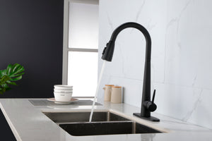 Matte Black Kitchen Faucets with Pull Down Sprayer