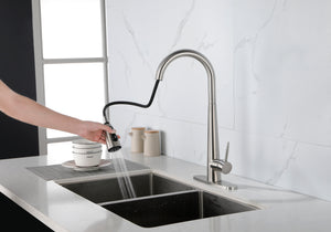 Kitchen Faucet with Pull Down Sprayer Brushed Nickel