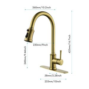 Single Handle High Arc Pull Out Kitchen Faucet Brushed Gold