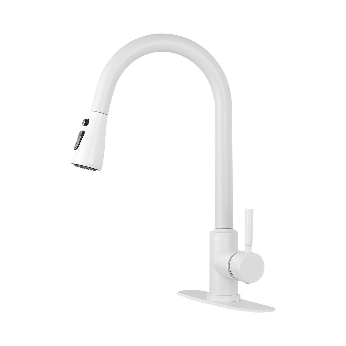 Kitchen Faucet with Pull Out Spraye