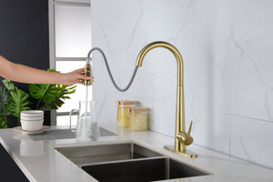 Gold Kitchen Faucets with Pull Down Sprayer