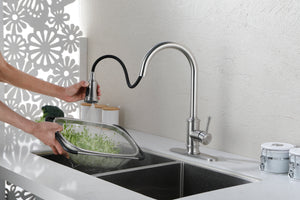 Single Handle High Arc Brushed Nickel Pull Out Kitchen Faucet Stainless Steel